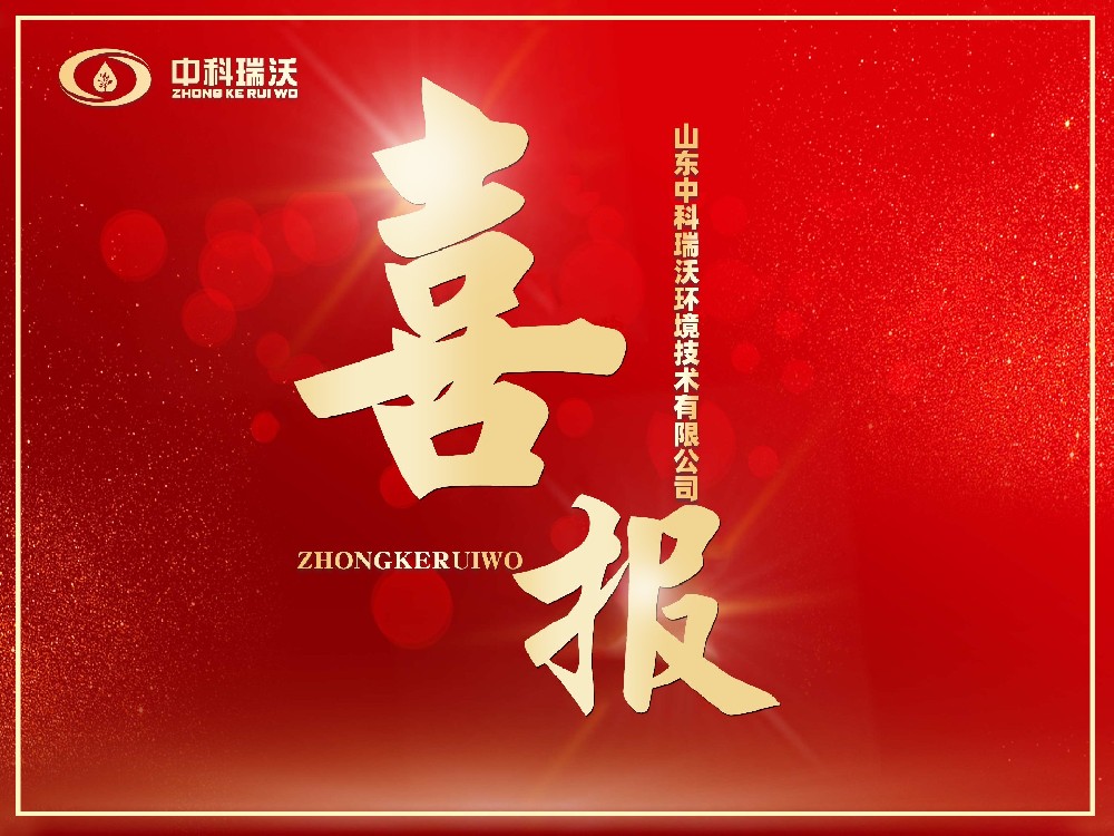 喜报丨恭喜好色先生污污版成功获批“山东省2024年度专精特新中小企业”